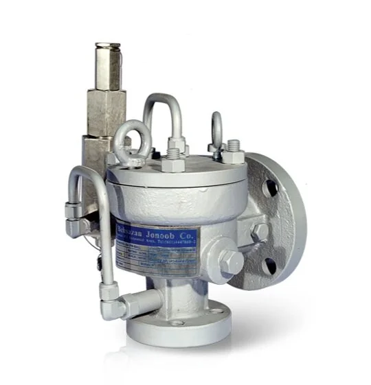 Safety / Relief Valve